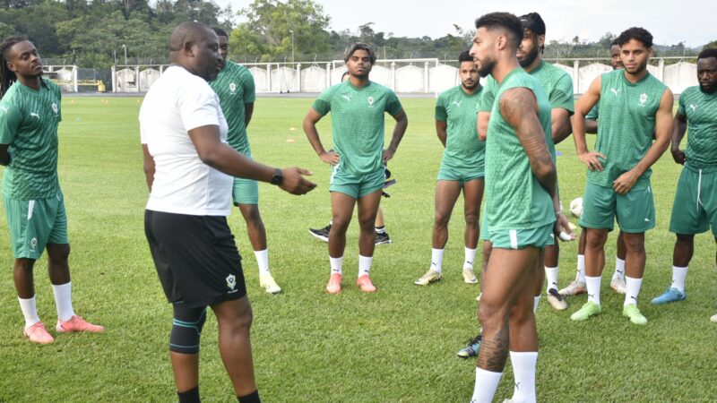 PANTHÈRES : OBJECTIF LA VICTOIRE !