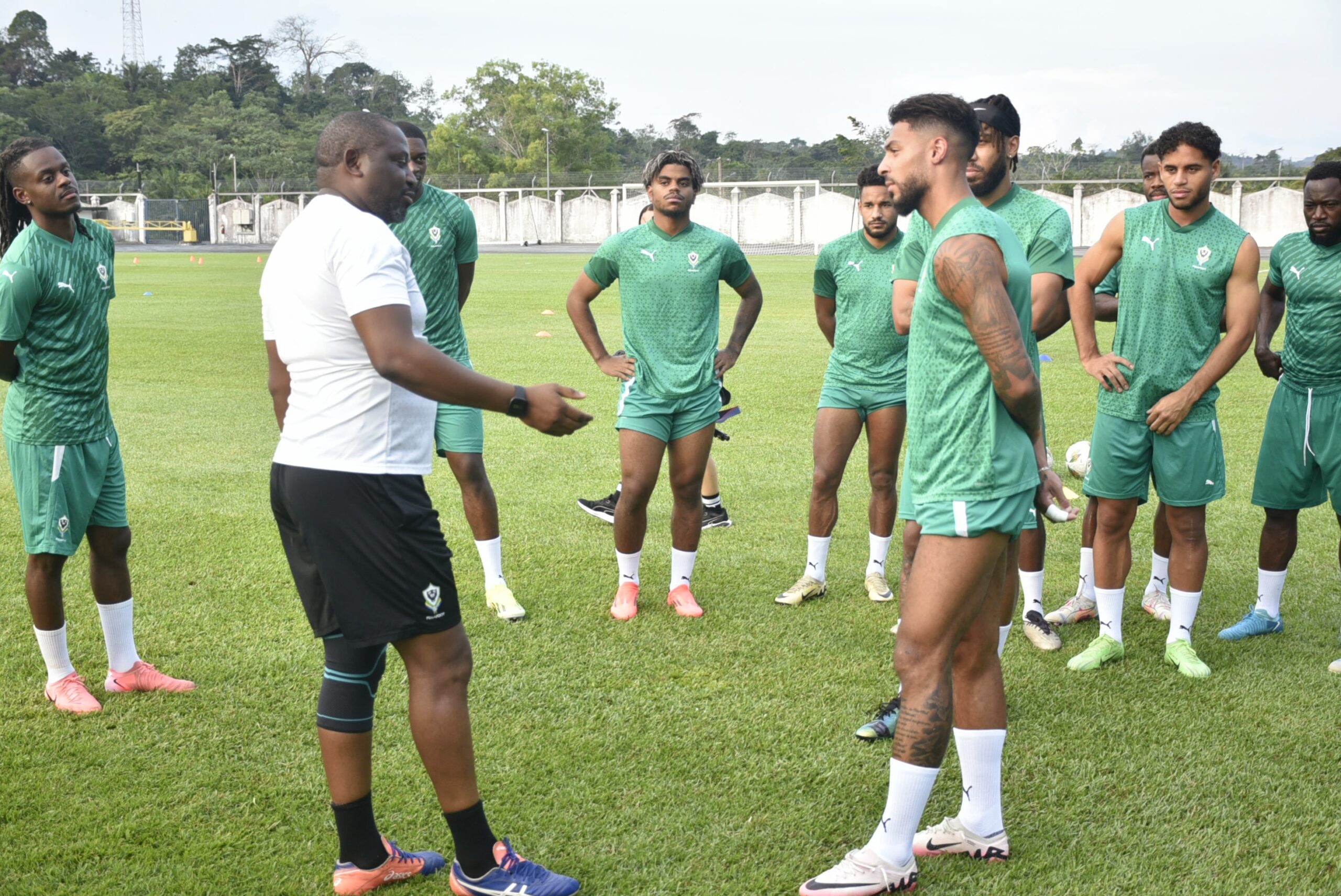 PANTHÈRES : OBJECTIF LA VICTOIRE !