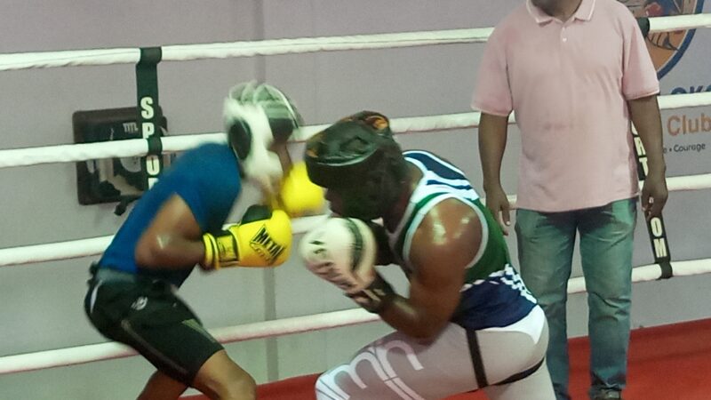GALA DE BOXE PROFESSIONNELLE : LES SPARRING-PARTNER SE METTENT EN PLACE