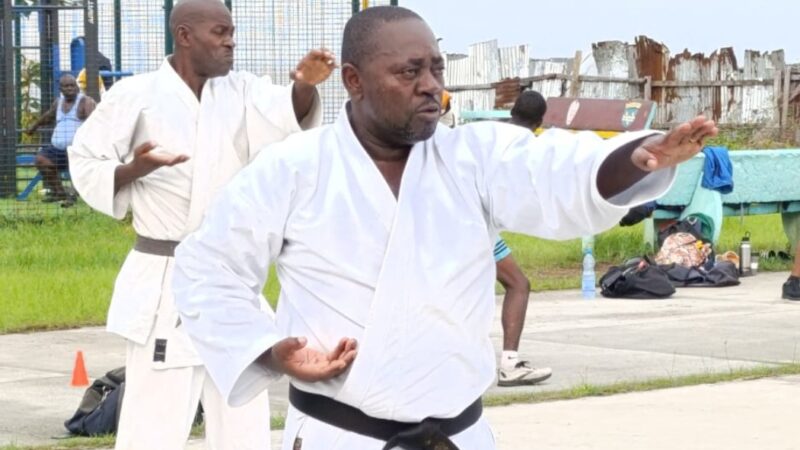 FEGAKAMA / DÉCLARATION  DE CANDIDATURE : LES CINQ (5) PILIERS DE Me PAMPHIL ANDIMI YOUMOU