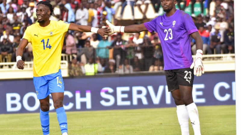 PANTHÈRES / STAGE   : ARRIVÉES PROBABLES DE PLUSIEURS JOUEURS LOCAUX