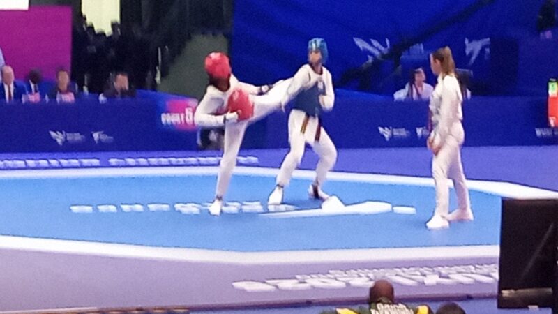 MONDIAUX 2025 : ILS SONT TOMBÉS AVEC HONNEUR !