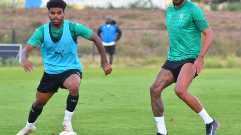 QUALIFS MONDIAL  2026 /  GAMBIE-GABON : LES PANTHÈRES FACE À LEUR DESTIN !