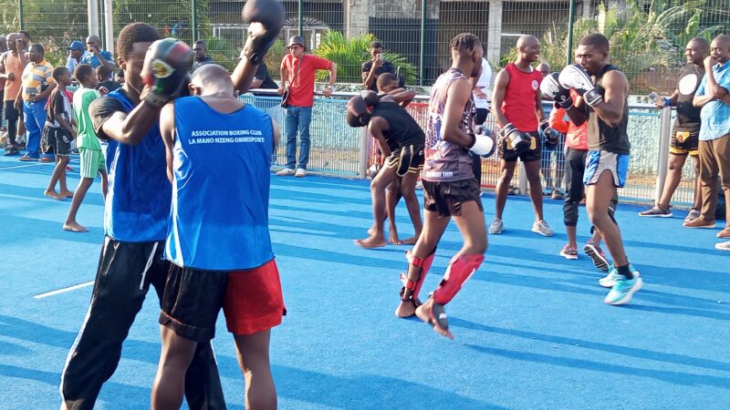 LIGUE DE MUAY THAÏ  DE L&rsquo;ESTUAIRE : C&rsquo;EST PARTI !
