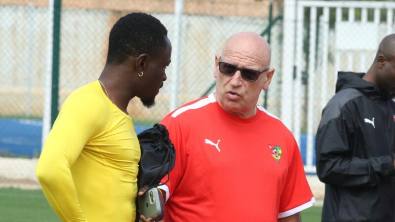 TRÊVE INTERNATIONALE : LE  TOGO SOUS L&rsquo;ÈRE PATRICE NEVEU  AFFRONTE  LA GUINÉE  & LE NIGER