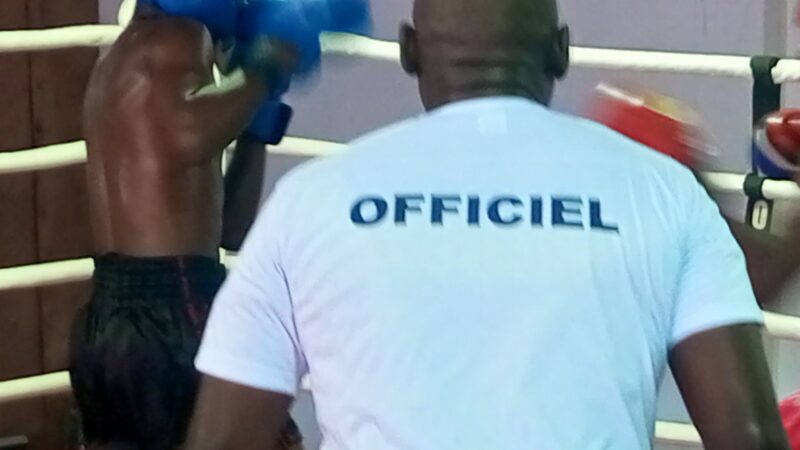 LA LIGUE DE KICK-BOXING  DE L&rsquo;ESTUAIRE DE NOUVEAU OPÉRATIONNEL