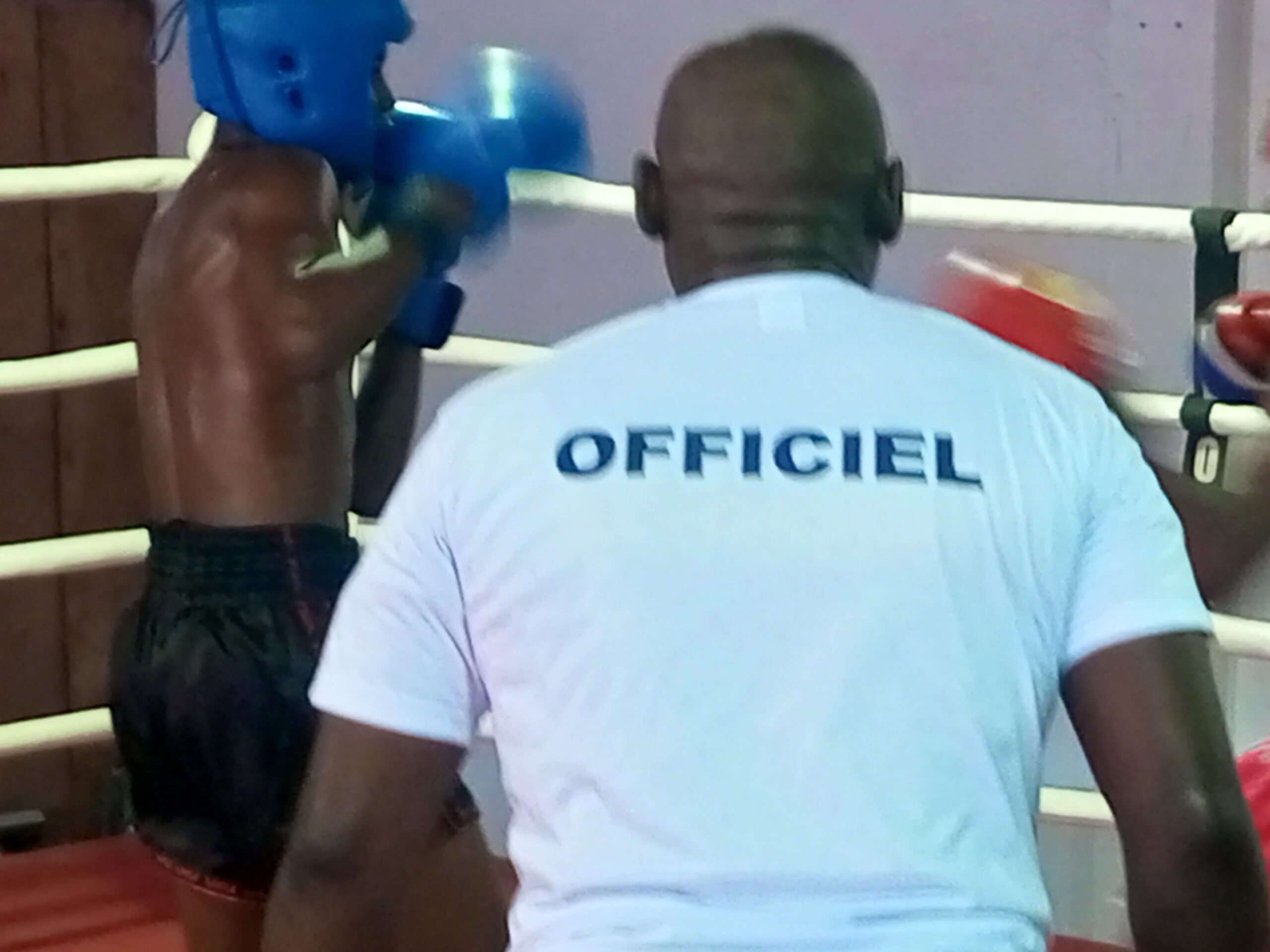 LA LIGUE DE KICK-BOXING  DE L&rsquo;ESTUAIRE DE NOUVEAU OPÉRATIONNEL