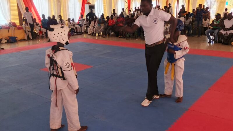 CHALLENGE PROVINCIAL  DE TAEKWONDO DU WOLEU-NTEM : LE CLUB PANTHÈRE RAFLE LA MISE À OYEM