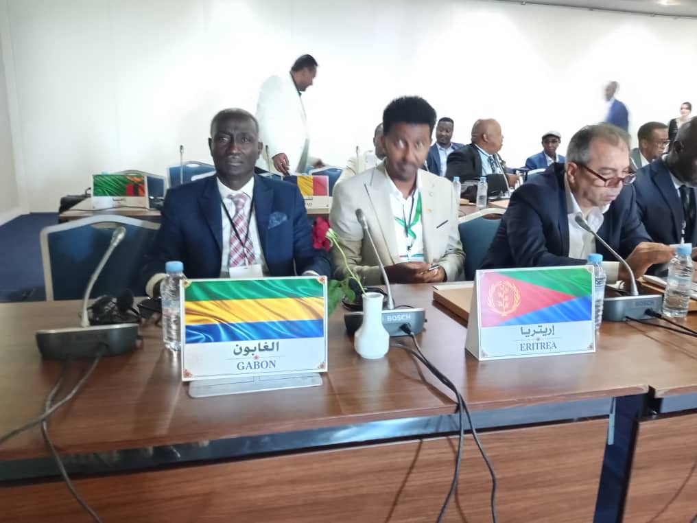 AG DE LA FATT À TANGER : PÉPIN MOULOUNGUI FACE À LA PATRONNE MONDIALE PETRA SÖRLING, LE PING GABONAIS PÈSE DANS LA BALANCE !